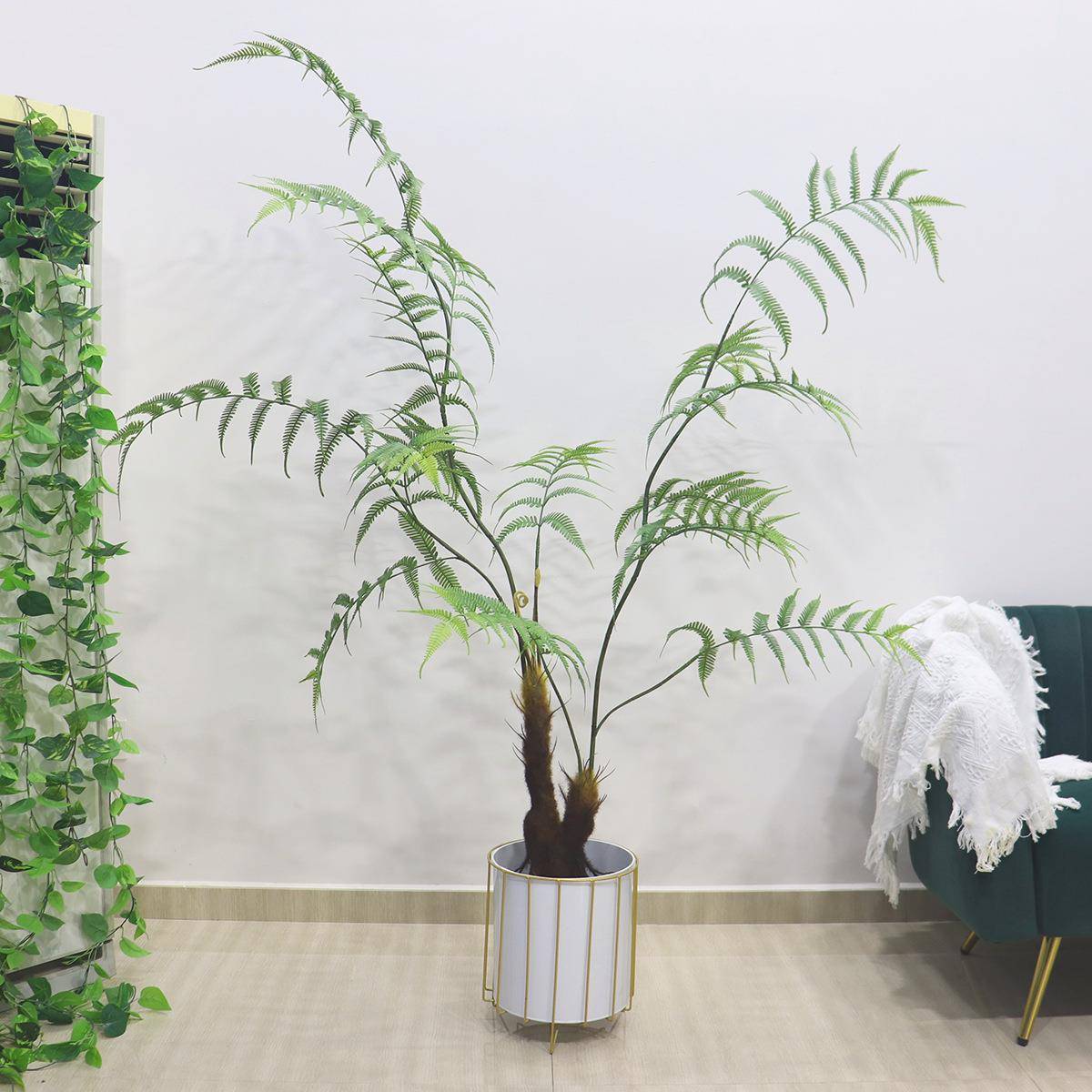 仿真金丝蕨植物蕨树仿生蕨草盆栽摆件绿植仿真客厅种落地毛猴头厥