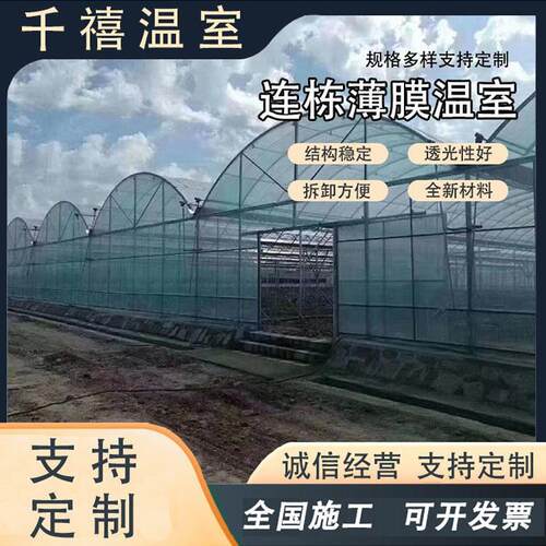 温室大棚 蔬菜种植薄膜温室大棚 钢管骨架安装 连栋薄膜温室大棚