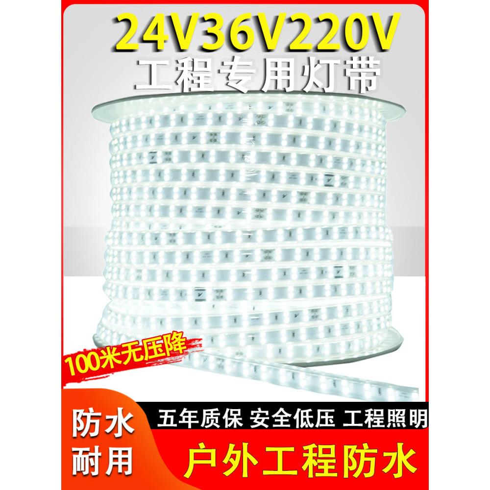 led灯带工程36v24v220户外防水白光工地下室隧道塔吊养殖照明灯条