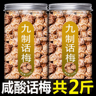 广州九制话梅大颗粒话梅干泡水盐津甘甜话梅消食梅肉蜜饯果干零食
