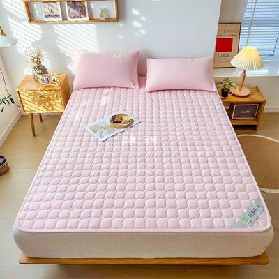 TAE四季通用可滑机洗床垫被护垫榻榻米防护垫床保褥单双人学子生