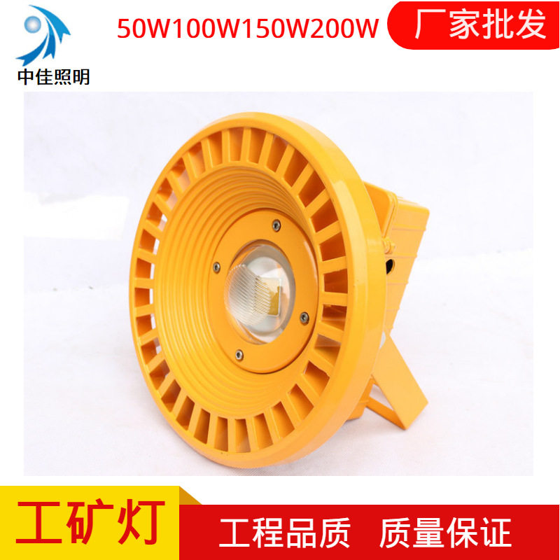 LED防爆全铝投光灯100W