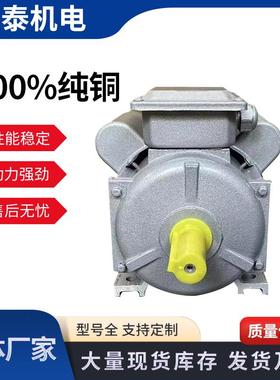 2单YL铜电机20铜芯电动机V多种型号项发货FEV及时山东厂家直供