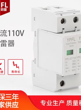 直流110V电源防雷器防雷电涌护器器单相保雷防浪涌保护YPFL-DC1器