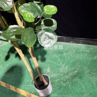 仿真树金钱叶地大型落绿植客厅摆放金486钱兜室内放客摆盆栽厅假
