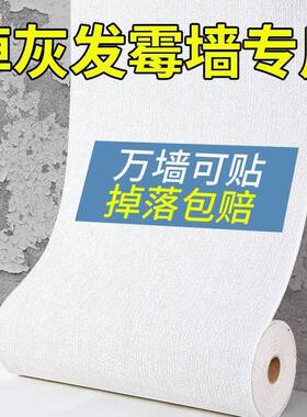 2丑025新款掉灰墙专用纸粘LEV防水墙防自潮墙贴壁墙面遮装饰贴纸
