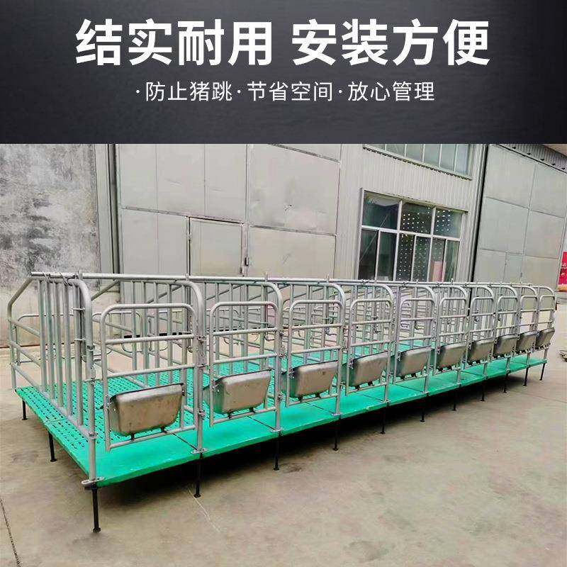 定锌位栏养猪畜牧养殖限位栏场加厚镀5头管8110头位母猪定位栏