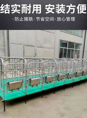 定锌位栏养猪畜牧养殖限位栏场加厚镀5头管8110头位母猪定位栏