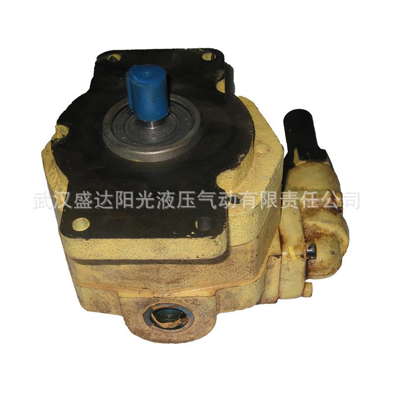 佳宇西安等BB-B4BBB-B6Y/10Y摆线齿轮油泵BB-B4YBY马达输油泵