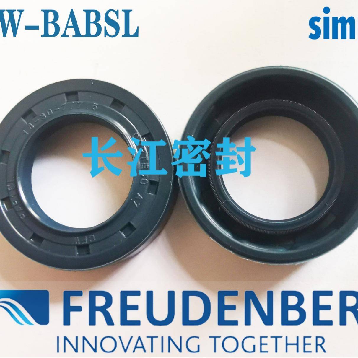 BABSL10170-200-12-babsl1420E0-230-13A1德国FREUNDEBRG耐压油