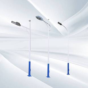 Led路灯杆户外新农村4/5/6/8/10/12米小区广球场道路高杆灯头高亮