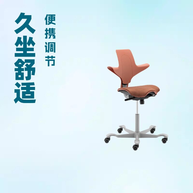 挪威设计HAG骑马椅家用座椅可升降可旋转久坐人体工学椅
