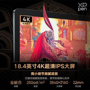 XPPen Artist Pro19(4K)数位屏 手绘屏 电脑绘画板专业绘画数位板