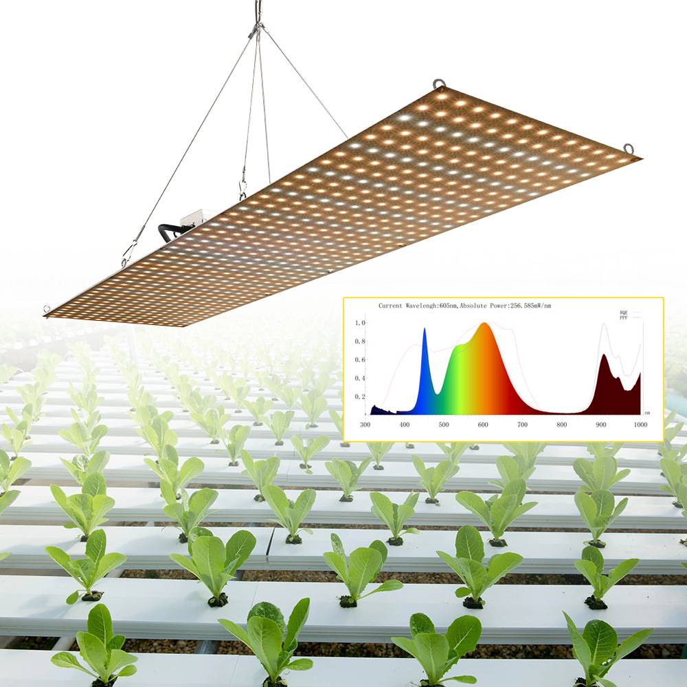 led种植灯75W量子板598珠可调光大棚育苗灯115X30CM大面积补光