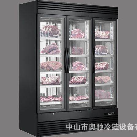 干式牛肉牛排熟成柜商用排酸柜湿式冷藏保鲜冷冻西餐牛排柜,清洗/食品/商业设备,其他食品加工设备,淘宝优惠券,粉丝福利购,淘宝优惠卷
