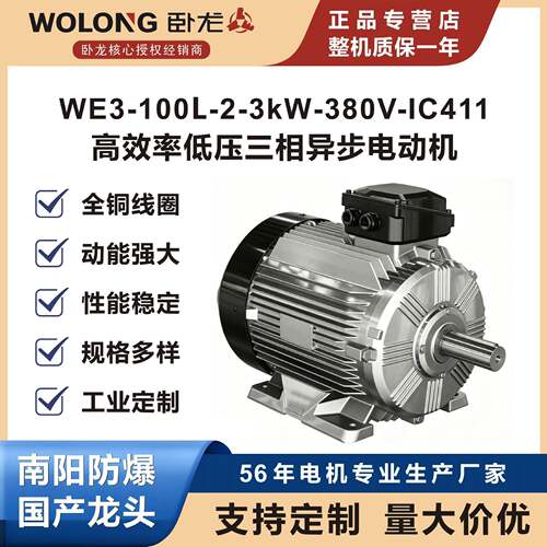 卧龙WE3-100L-2-3kW‑380V-IC411-B3效率低压三相异步电动机
