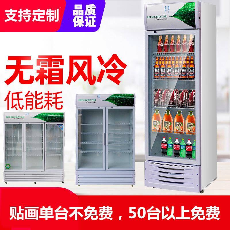 酒柜饮01料柜单门/双门啤冷藏展示柜雪啤酒柜立式饮花料柜