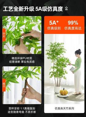 绿生植天竹轻奢假花树仿植物室内型装饰客F779TJ7J大厅落地南摆件