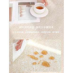 轻油不规 式 2052新款 奶风异形客厅地毯复古沙发卧室家用法无品牌