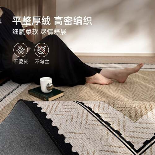 地毯用客厅法式卧中古风F985TH8H202新款免5洗可擦沙发室地垫感家