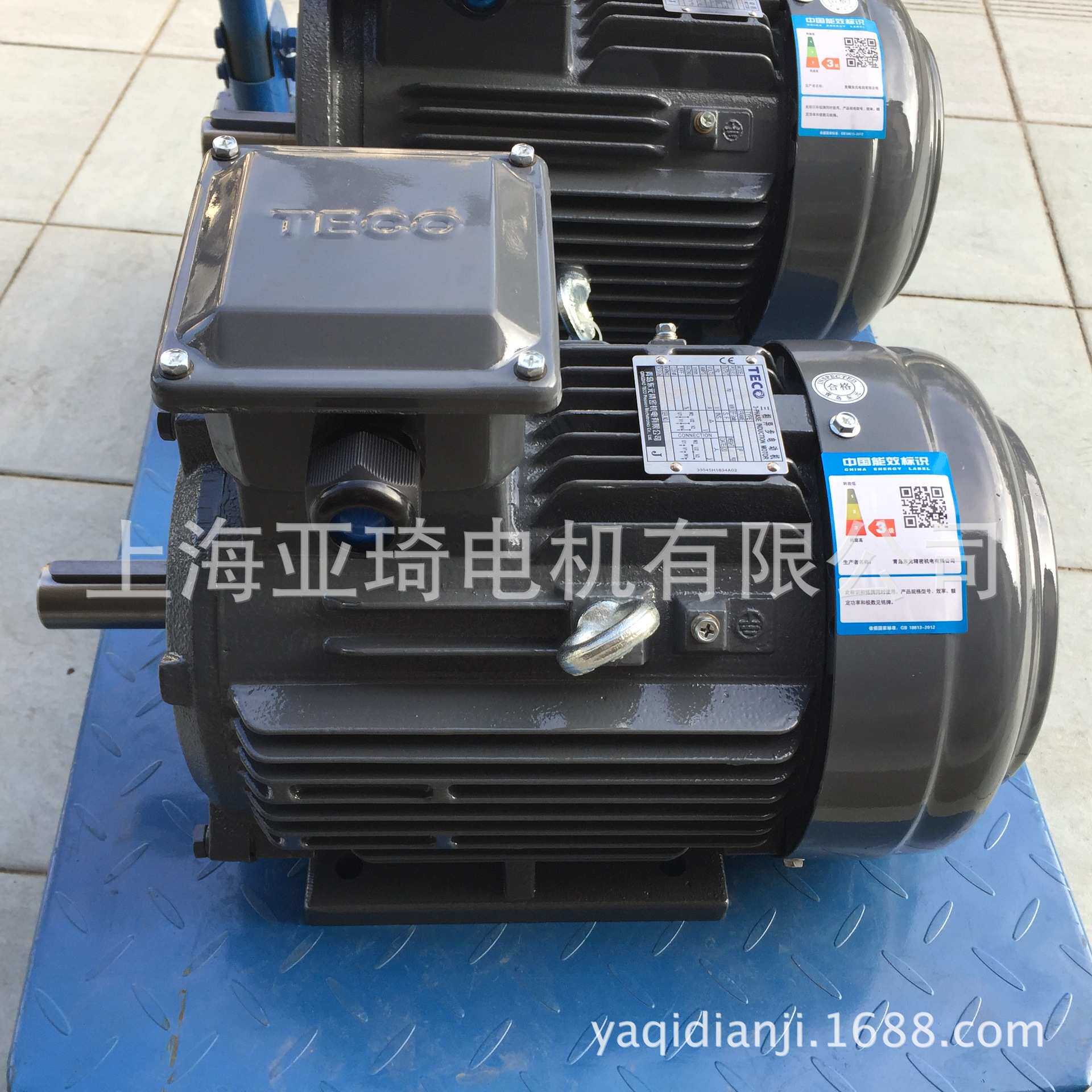 AEEVVS50HP37KW无锡东元电机TECO电机V系列标准顶出线|现货