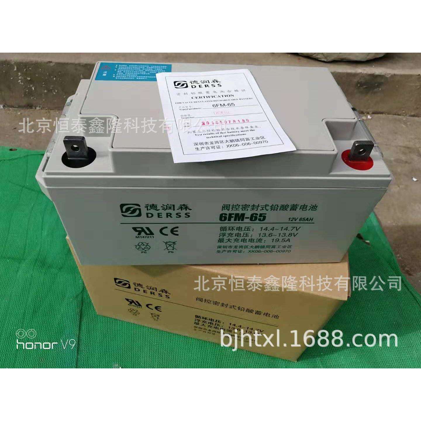 德润森蓄电池6FM-65铅酸蓄电池12v65ah直流屏电池报价