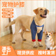 宠物护膝狗狗护肘衣大型犬外出防脏尘防舔袖 前腿关节保护套短袖