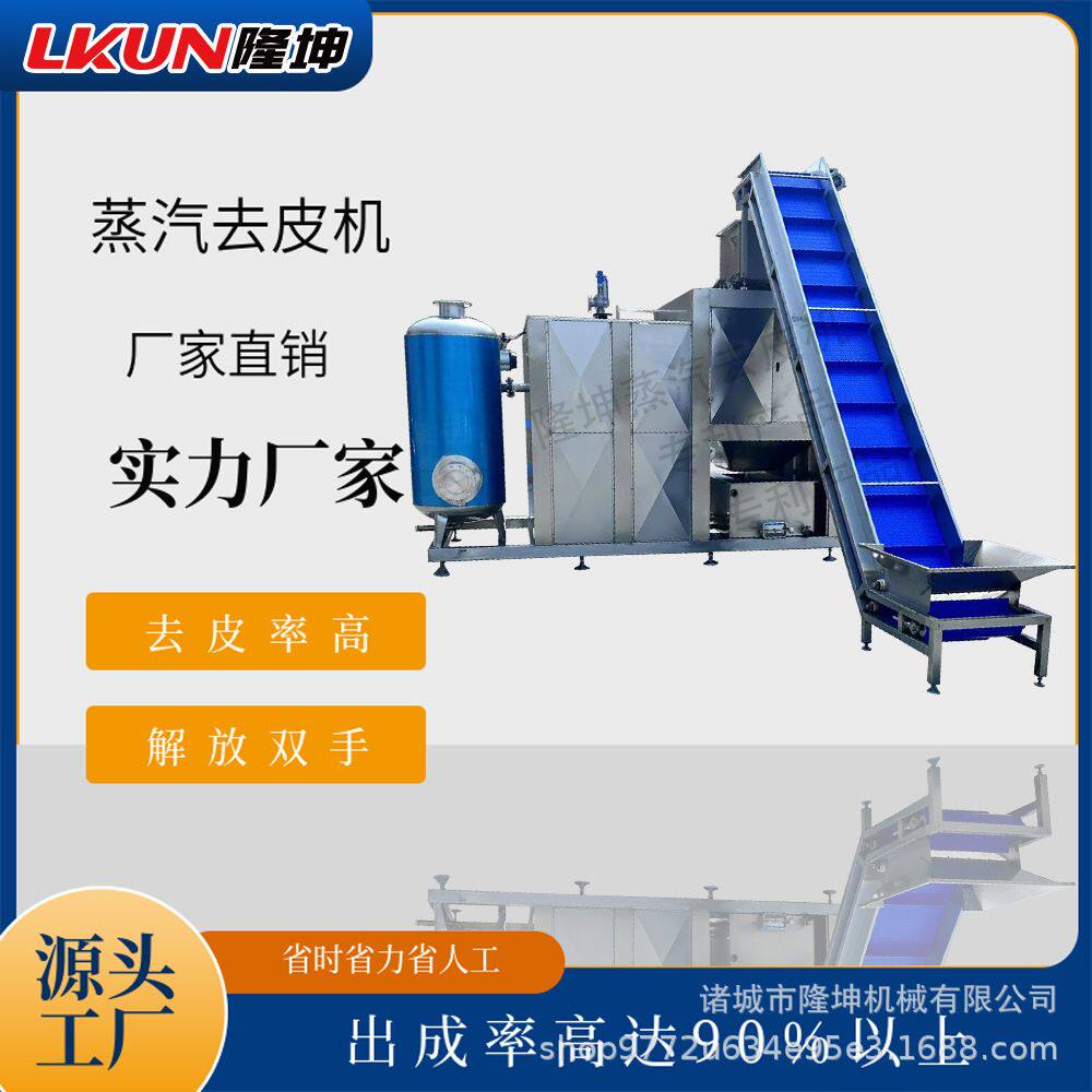 可定制全自动蒸汽去皮机 土豆芋头蒸汽脱皮机 农产品加工去皮设备