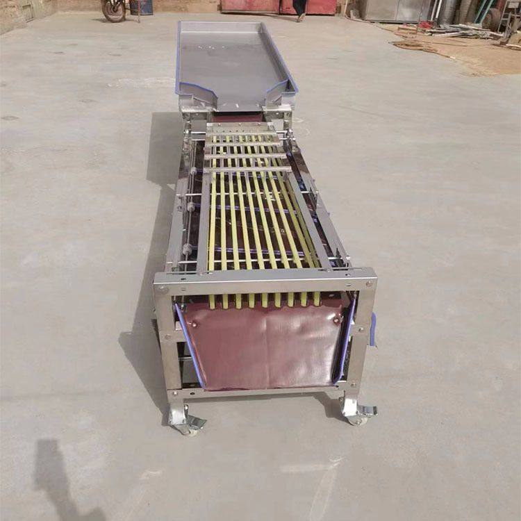 地瓜 西红柿分选机百合球筛选机无花果选果机皮带式水果分级机,清洗/食品/商业设备,选果机/分选机,淘宝优惠券,粉丝福利购,淘宝优惠卷