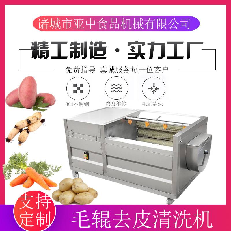 供应毛辊清洗机 土豆芋头去皮清洗机 根茎类清洗加工设备