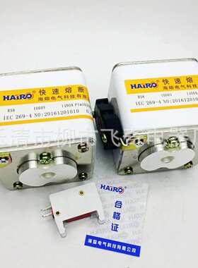 快速熔断器RS8 AC2000V 450A560A630A700A800A900A1000A-P1M105N
