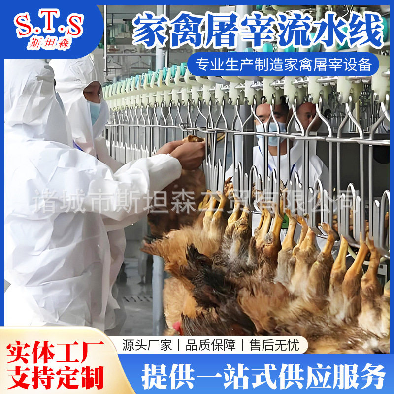 时杀2000只自动鸡屠宰流水线设备 鸡屠宰设备生产厂家 自动宰鸡线