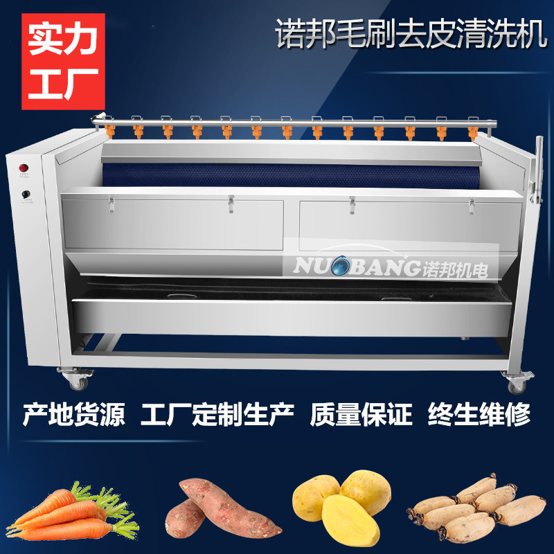 土豆丝全自动毛辊清洗机去杂质