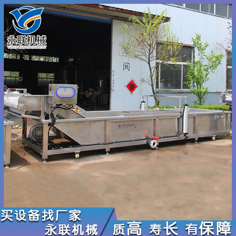 现货油柑果气泡清洗机 商用余甘果清洗机 全自动地枇杷清洗设备