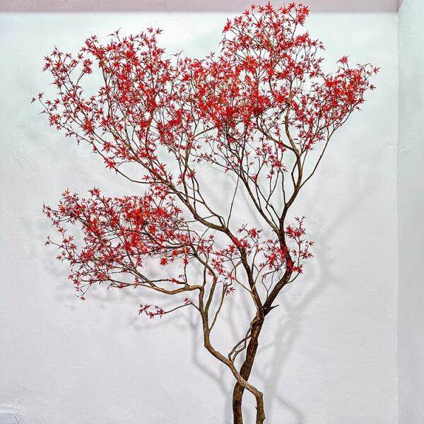 艺景ULN天大仿真树枫叶树假枫树型绿植假橱窗造景室内装饰仿植生