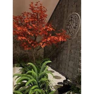 装枫树仿真树室内外落地大型景IGT观饰日式庭院造景假树红枯山水