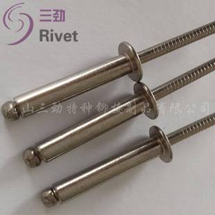 销不锈钢抽芯铆钉3041厂6不锈钢扁圆头拉铆钉M2.XIX4全不锈钢3铆