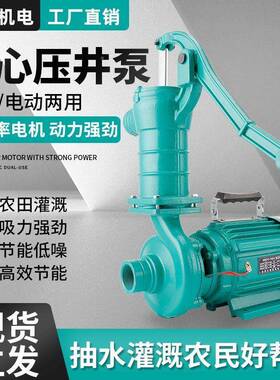 式吸泵自压井泵手压井头43798泵三鱼式水泵微型吸自离心泵农田灌