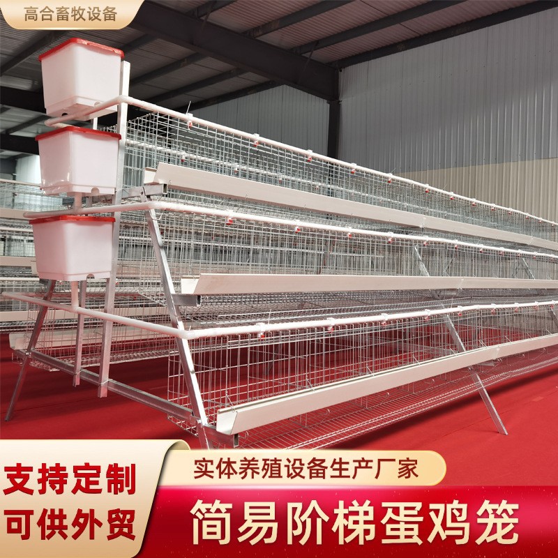 鸡舍三层四层阶梯蛋鸡笼养殖场镀锌立体养殖设备鸡舍养殖蛋鸡笼