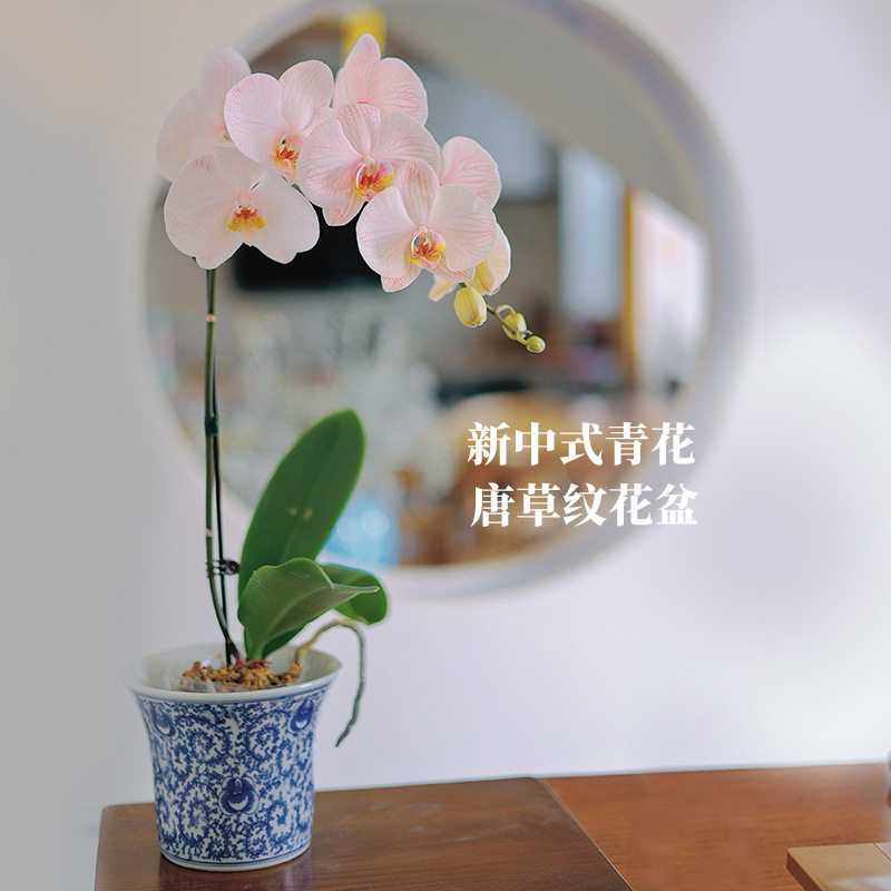 青花瓷唐草纹仿古陶瓷花纹四方陶瓷花盆家用绿萝蝴蝶兰花盆盆栽D&