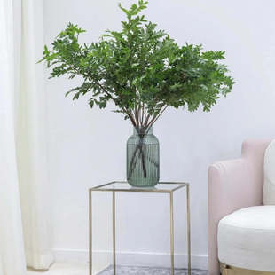 清香木鲜花云南斗南直发鲜切花室内水培绿植家养插花配草婚庆用花