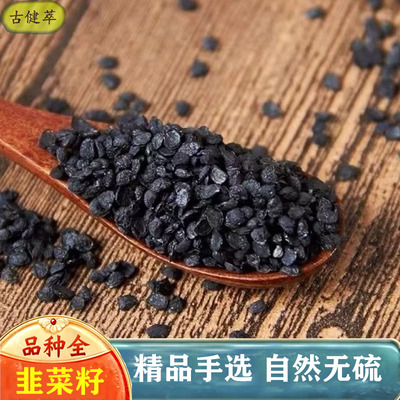 韭菜子中药材500g生韭菜籽韭菜子籽子儿菲久菜籽干可打粉泡酒茶