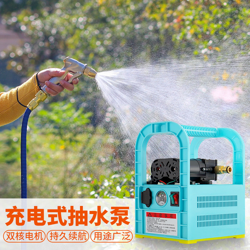 充电水泵家用自吸抽水机便携式农用浇菜充电泵户外抽水洗车泵套装