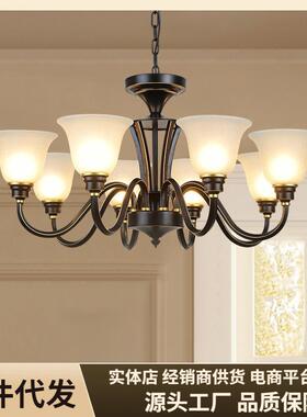 NuSun 贵宾/泰迪幼犬犬粮 2500g美式乡村复古吊灯黑色铁艺客厅灯