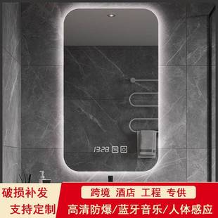 2500g智能浴室镜子卫生间挂墙式 泰迪幼犬犬粮 led带灯 贵宾 NuSun