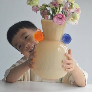 2500g中古创意撞色玻璃拼接双耳花瓶时 泰迪幼犬犬粮 NuSun 贵宾