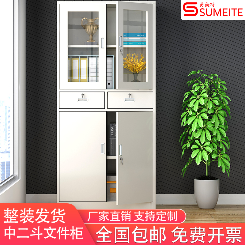 办公室中二斗文件柜财务凭证柜储物柜档案铁皮柜子带锁钢制资料柜