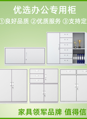 广东省广州市办公文件柜矮柜拆装带锁多门柜资料档案柜更衣储物柜