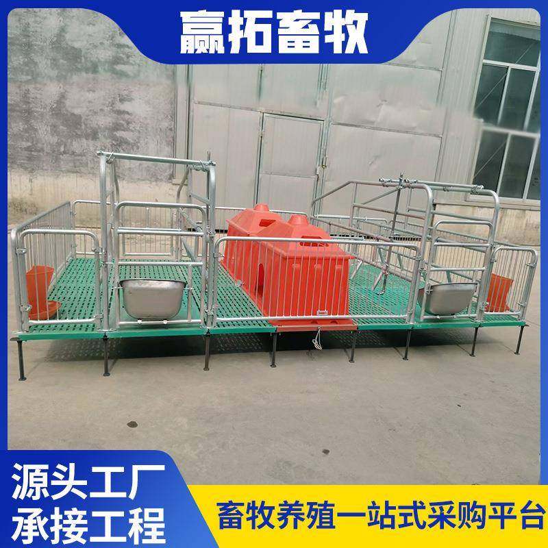 母猪产床畜牧养殖产保两用仔猪产床母猪分娩床小猪床复合双体产床