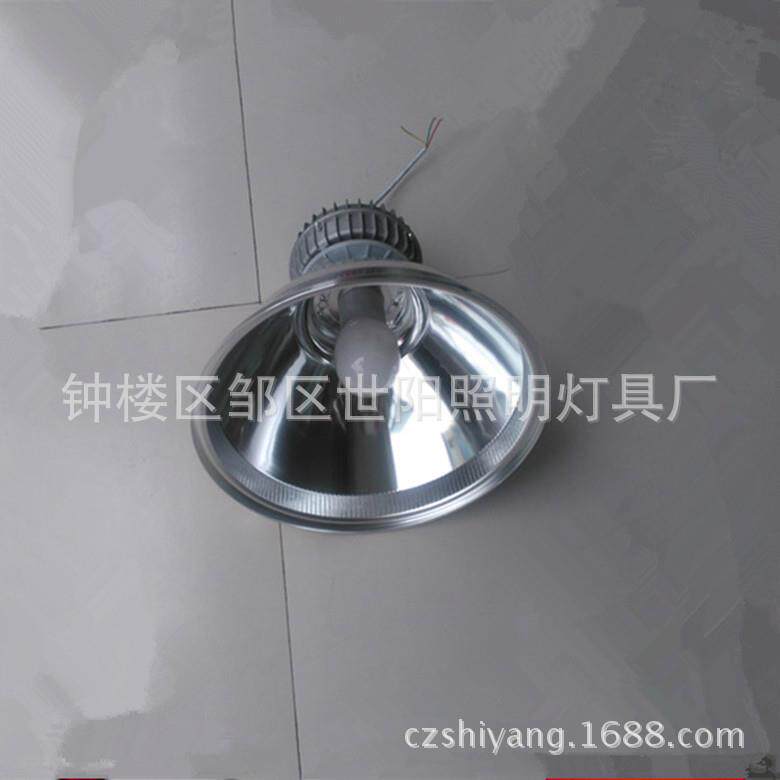 120W150W200W无极灯工矿灯低频高频无极灯配灯罩